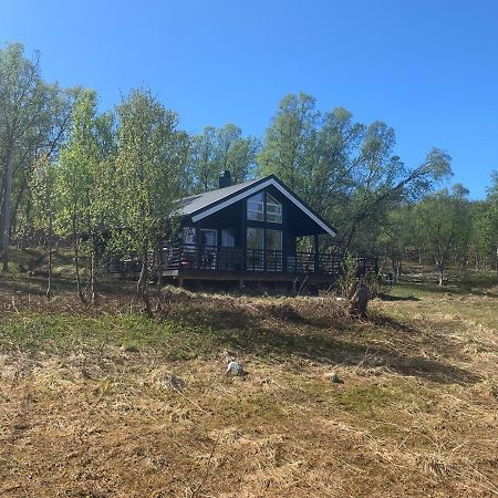 Villa Aurora Woods Skjervoy Esterno foto