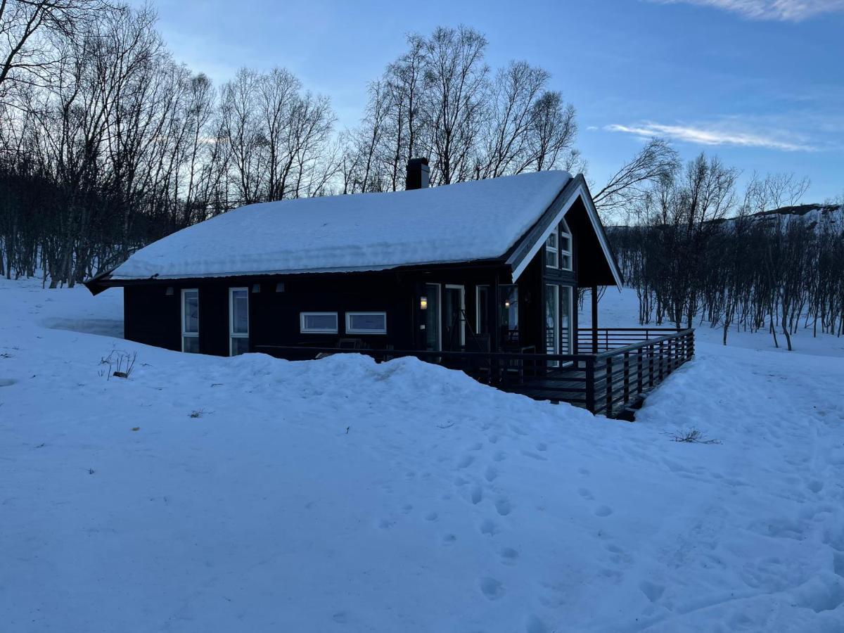 Villa Aurora Woods Skjervoy Esterno foto