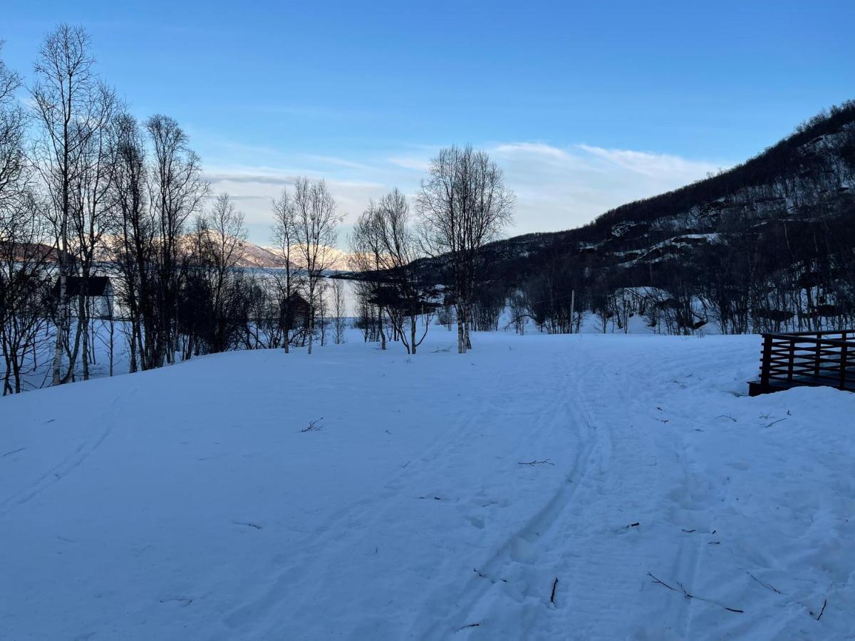 Villa Aurora Woods Skjervoy Esterno foto