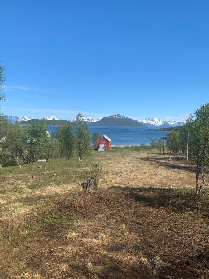 Villa Aurora Woods Skjervoy Esterno foto