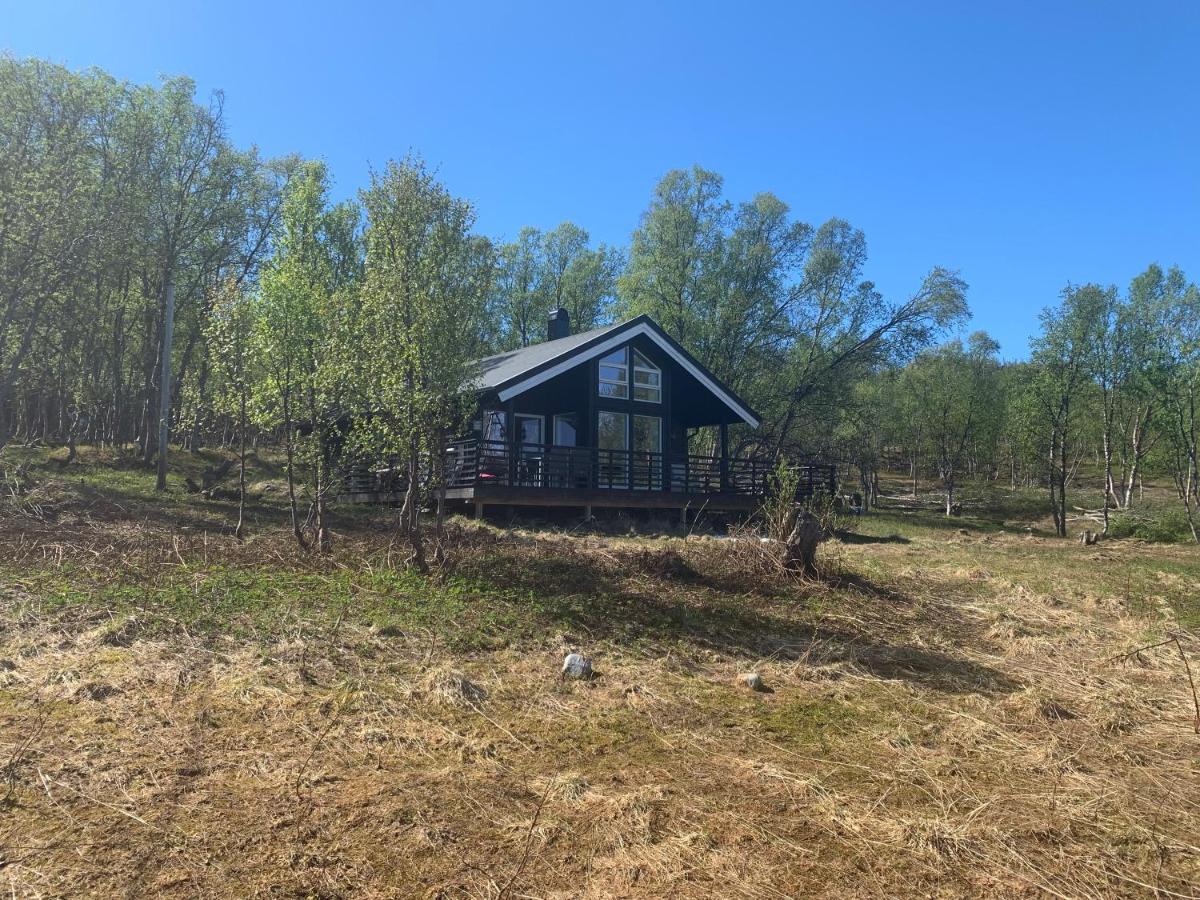 Villa Aurora Woods Skjervoy Esterno foto